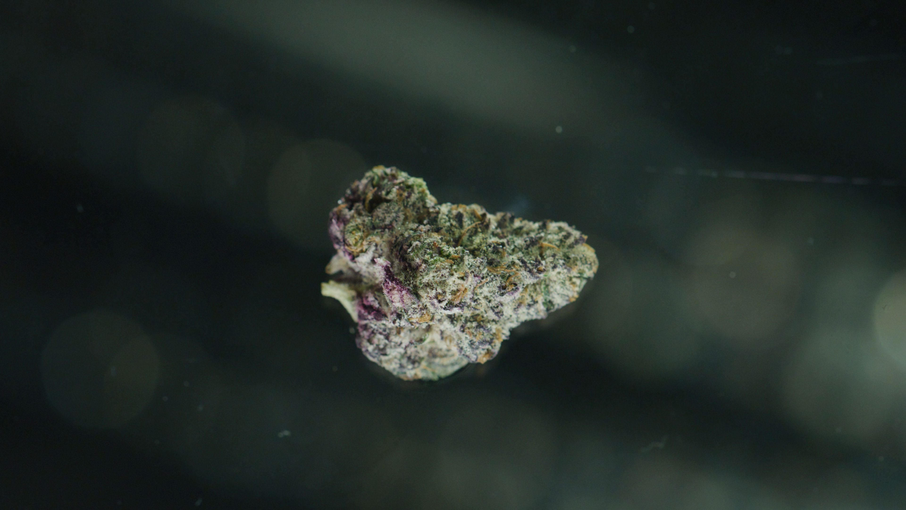 Cressa Cannabis Highlight Video
